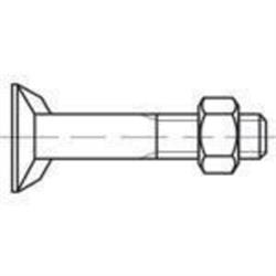 Flat countersunk rib bolt with hexagon nut D25195/555 4.6 St Zinc plated