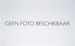 U-beugels met moer THVZ