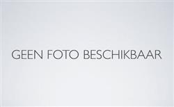 Spaanplaatschroeven CK POZ ELVZ