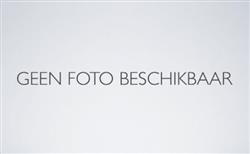 Spaanplaatschroeven PVK Pozi RVS