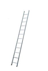 Ladders single